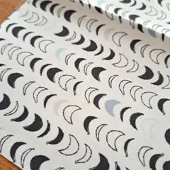 55×45　宇宙　月　Q２　アニマル　USA コットン　薄手　生地　はぎれ