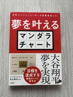 日本人メジャーリーガーが目標達成した! 夢を叶えるマンダラチャート