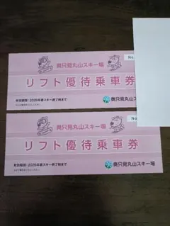 奥只見丸山スキー場リフト券2枚 奥只見丸山スキー場 リフト券2枚 積雪量は魚沼一！豊富な