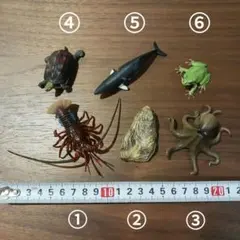 日本のいきもの　フィギュア5点セット