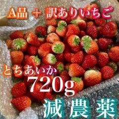 いちご　とちあいか　B級品　A級品 まとめ売り　お得　ジャム　いちごジャム