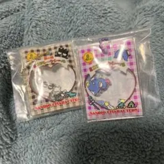 サンリオシャカシャカフレークシール風チャームセット♡