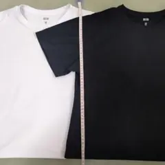 ユニクロ ドライEXクロップドT