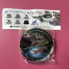 2025年最新】オオアタマガメの人気アイテム - メルカリ