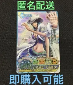 ワンピース ベリーマッチ 199枚 ワンピース ワンピーベリーマッチIC ファイル付き まとめ売り GR