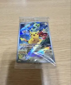 新品未開封 ポケモンカード ピカチュウ みんなでぼうけん　スカバイ プロモ