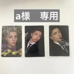 a様　専用
