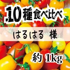 【ソムリエトマト】はるはる様専用