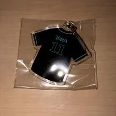 &TEAM BLAZE THE WAY HARUA ハルア めじるしチャーム
