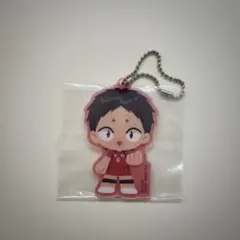 Item thumbnail for item 1988ca9e-7895-418e-bec6-32f806153bf7