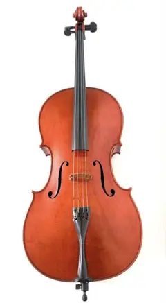Gliga グリガ 1/2 コントラバス PU 弓 ケース スタンド付 Genial 1/2 size （Violin shape / F.Back） | 【クロサワ楽器店