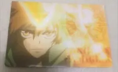 リボーン 沢田綱吉 ミニクリアファイル ボンゴレフェスタ 2011 ツナ