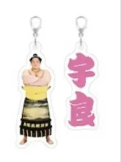 大相撲ガチャ　めじるしアクセサリー　宇良