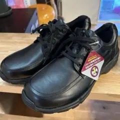 Item thumbnail for item b666d871-20c2-4e9d-b13d-0a880d70e5d4