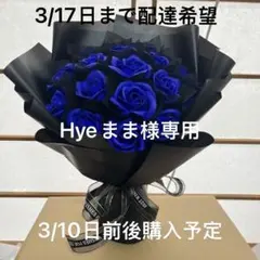 Hyeまま様専用