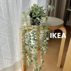 사용하지 않은 새 IKEA IKEA 가짜 녹색 인조 녹색 인조 유칼립투스 인공 관엽 식물