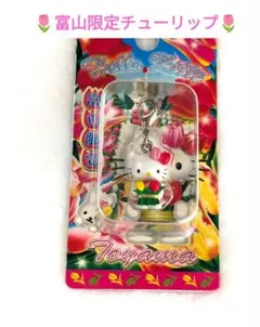2025年最新】チューリップキティの人気アイテム - メルカリ