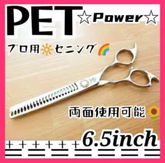 SOLVE社 バキュームベル 16cm 漏斗胸 小児 治療器具 - メルカリ