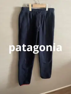patagonia シンチラ スナップt