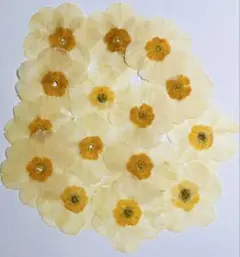 Belle✨プロフ必様 リクエスト 3点 まとめ商品