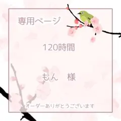 もん様専用ページ