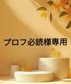 2025年最新】プロフ必読様専用の人気アイテム - メルカリ