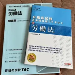 公務員試験 過去問攻略Vテキスト 5 労働法 問題集