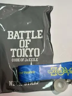 Item thumbnail for item d455e98b-cc76-42f8-bcac-b14bd99f9417