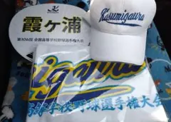 第106回 甲子園 霞ヶ浦高校 応援グッズ キャップ タオル うちわ 第106回 甲子園 霞ヶ浦高校 応援グッズ タオル うちわ - メルカリ