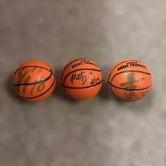 Item thumbnail for item f5ffb36a-c14c-45db-b6a1-7dac196c64fd