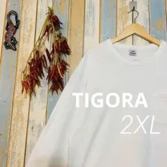 【ティゴラ】メンズ　シャツ　Tシャツ　ホワイトシャツ　トップス　綿100%