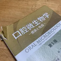 Item thumbnail for item 5ae8798c-3ab4-4a5e-baef-57691c2a8b86