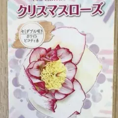 takag55様 リクエスト 2点 まとめ商品