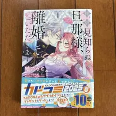 拝啓見知らぬ旦那様、離婚していただきます 1= To My Unfamiliar