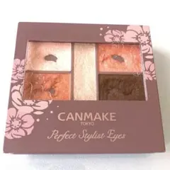 CANMAKE キャンメイク パーフェクトスタイリストアイズv 22