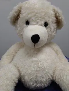 Steiff 日本限定 ミッキーマウスとテディベア桜 - メルカリ