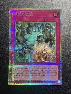 命王の螺旋 ドミナススパイラル プリズマ 1枚 遊戯王 命王の螺旋 ドミナススパイラル プリズマティックシークレット