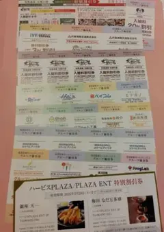 阪急阪急ホールディングス 株主優待券 各種