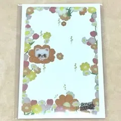 SKZOO クリアカード ヒョンジン