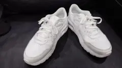 Item thumbnail for item 6c8d7e99-42ed-4db1-b192-608f30eae40e