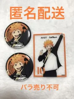 AVIOTコラボ　日向翔陽セット