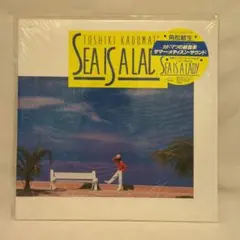 2026年最新】LP 角松敏生 Sea is ladyの人気アイテム - メルカリ