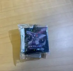 ポケットモンスター パッケージ&ゲームカードキーホルダーコレクション パール