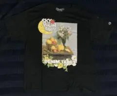 00s Junk Food DC SUPERMAN FRIENDS Tシャツ - メルカリ