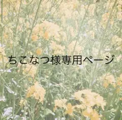 ちこなつ様専用ページ
