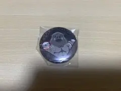 鬼滅の刃　無限城編　お楽しみくじ　缶バッジ　嘴平伊之助
