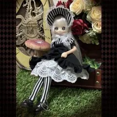 Rosenlied 水曜子限定ドレス RDWL 014 ROSEN LIED - メルカリ
