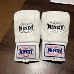 数回着 WINDY ボクシンググローブ TBG 1 M ホワイトのサムネイル