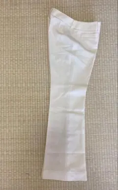 Item thumbnail for item 88271373-5581-44bd-8f0a-4e8713f5ac8c