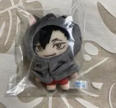ハイキュー！！ セガ くじ ぬいぐるみ 黒尾 LL賞 ラストラッキー賞のサムネイル